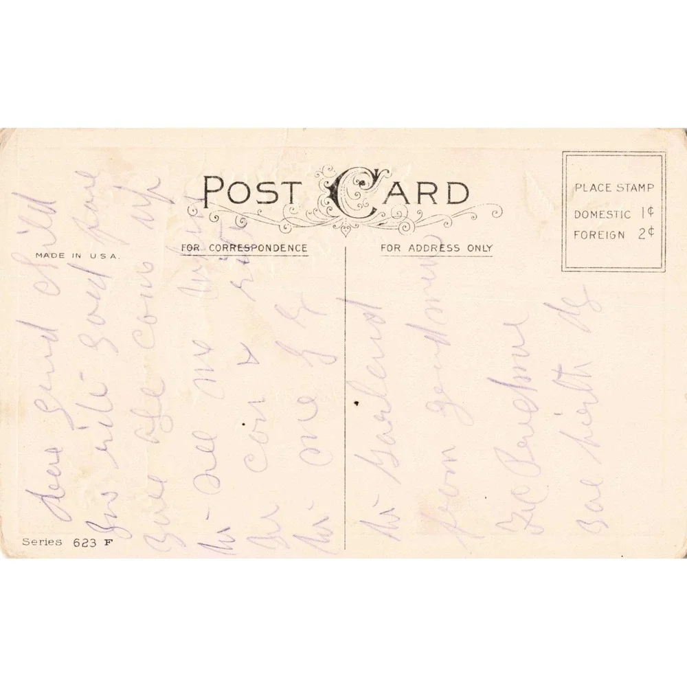 Vintage Bluebird Happy Future Postcard Series 623 F Divided Back Made in USA